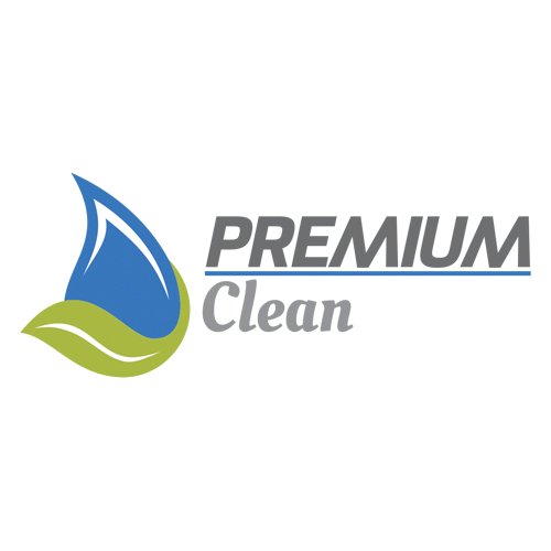 premium clean logo